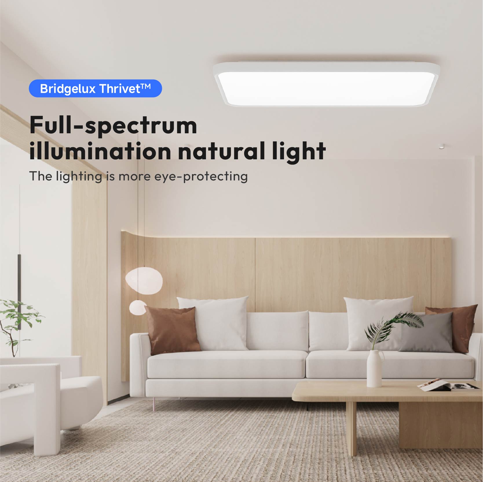 『Pre-Order』Poongia CP2 Ceiling Lamp