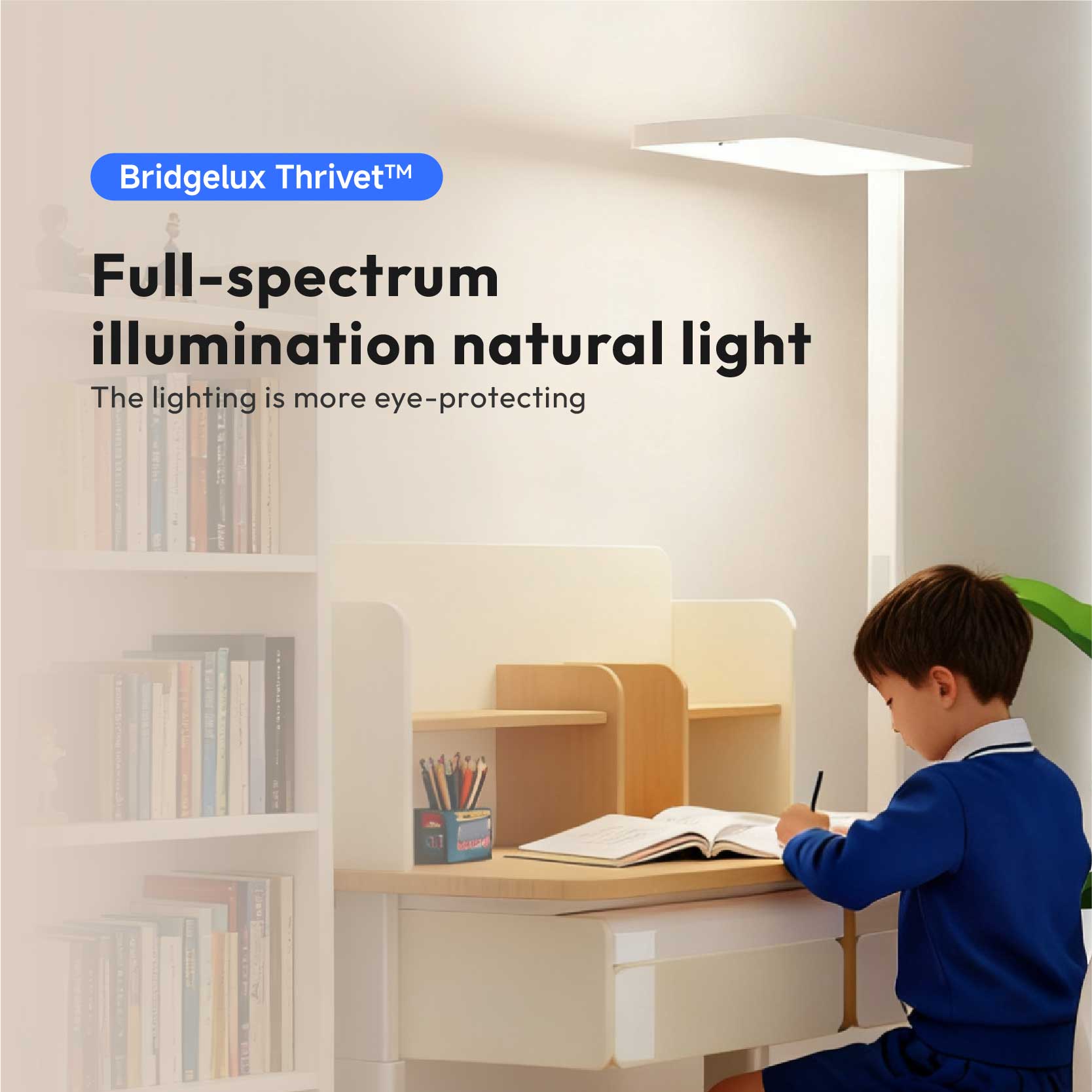 『Pre-Order』Poongia NP2 Sunlight Floor Lamp